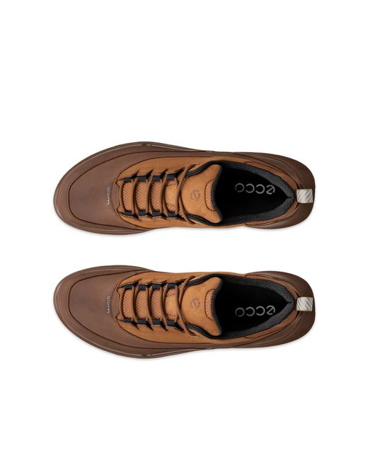 Ecco Biom 720 in Brown für Herren