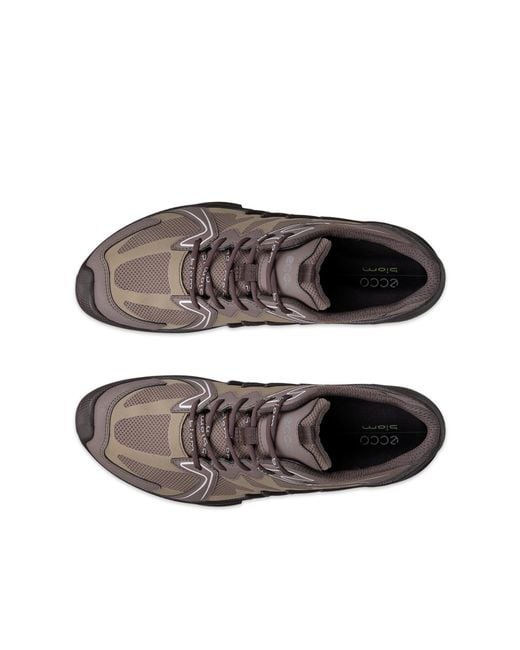 Ecco Brown Biom Aex
