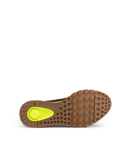Ecco Brown Exostride for men