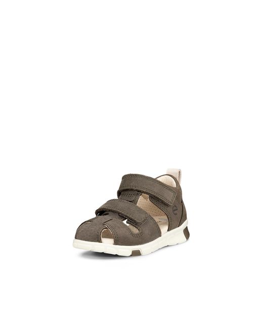Ecco Mini Stride Sandal in Green für Herren