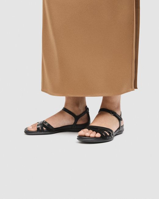 Ecco Black Flash