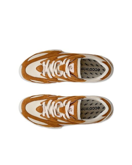 Ecco Brown Biom C-Trail