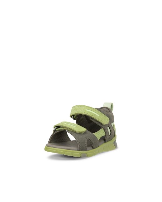 Ecco Mini Stride Sandal in Green für Herren