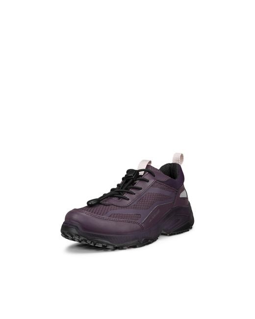 Ecco Purple Receptor Xp