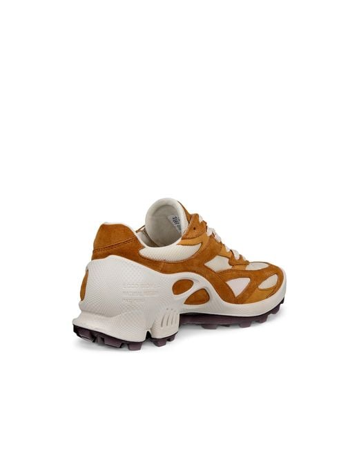 Ecco Brown Biom C-Trail