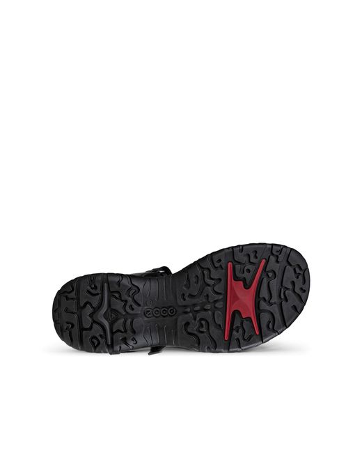 Ecco Black Offroad Roam