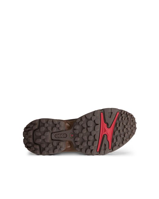 Ecco Receptor Xp in Brown für Herren