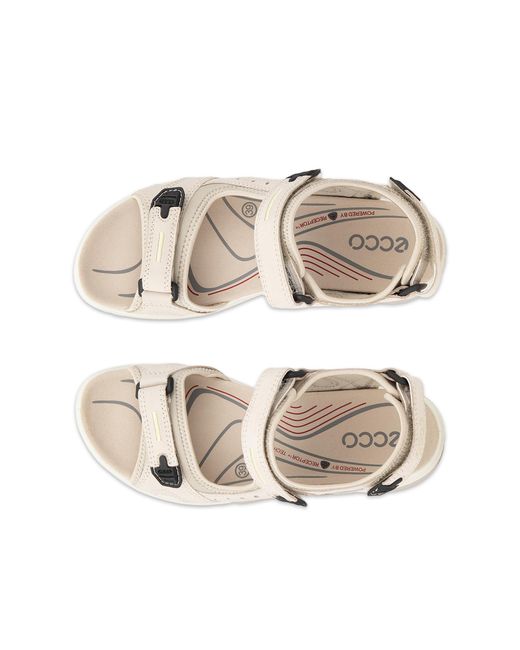 Ecco Metallic Offroad