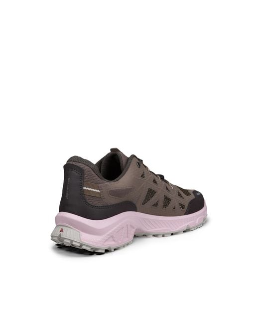 Ecco Brown Receptor Xp