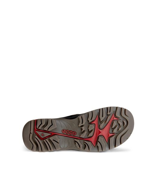 Ecco Brown Offroad for men