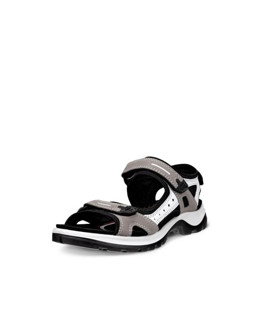 Ecco Black Offroad Leather