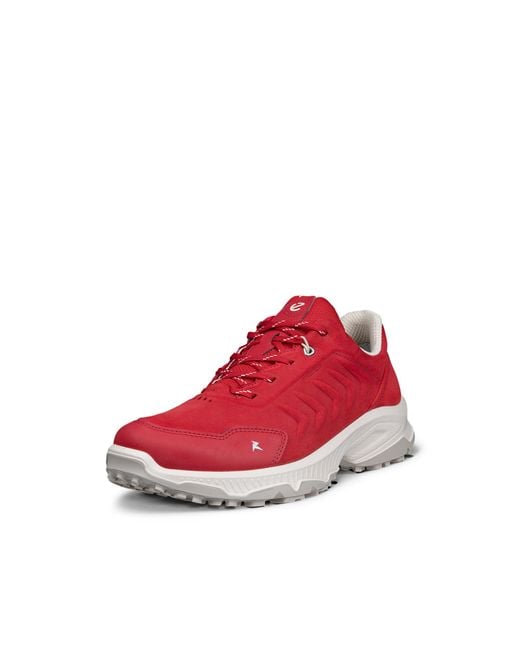 Ecco Red Receptor Xp