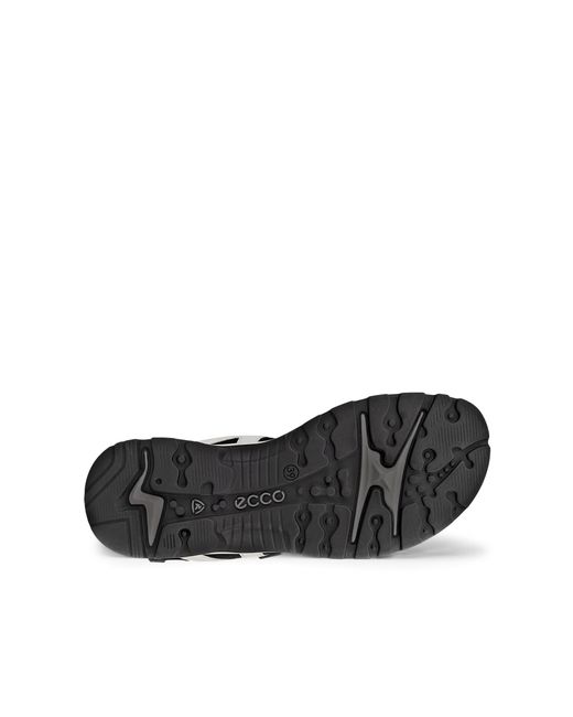 Ecco Black Offroad