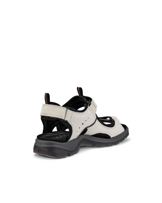 Ecco Black Offroad