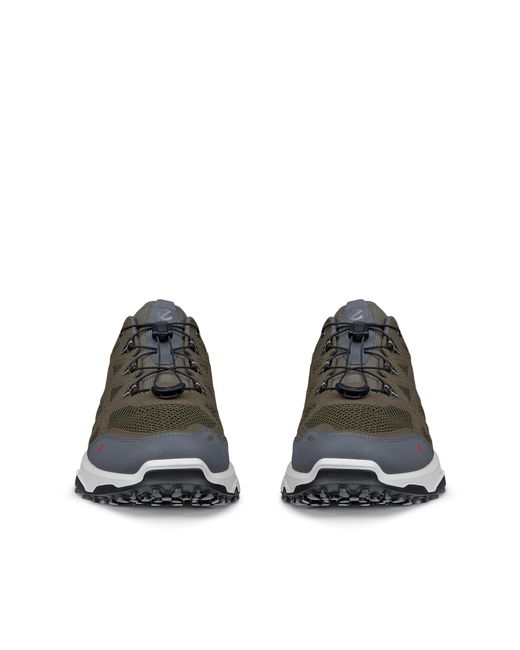 Ecco Gray Receptor Xp for men