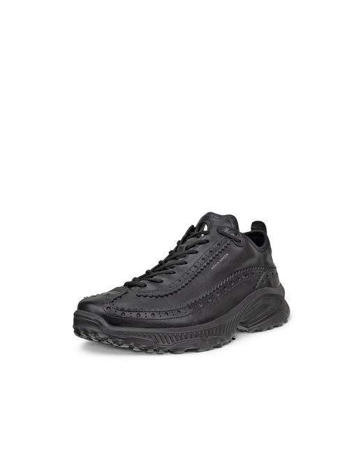 Ecco Black Cg Receptor Xp for men