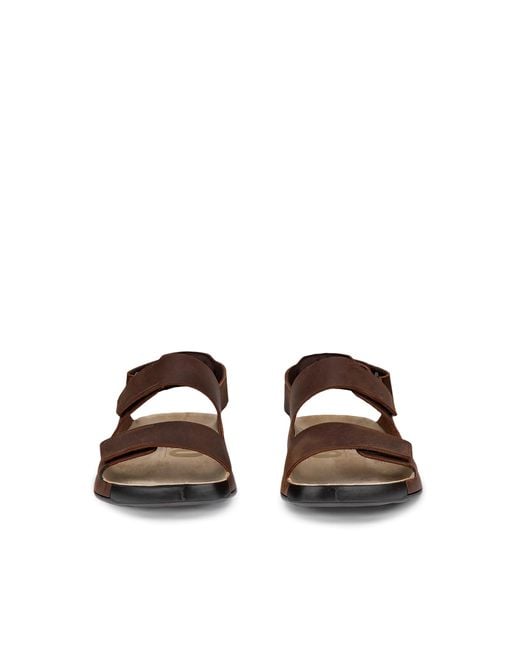 Ecco Brown Cozmo M for men