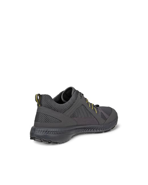 Ecco Terracruise Ii M in Gray für Herren