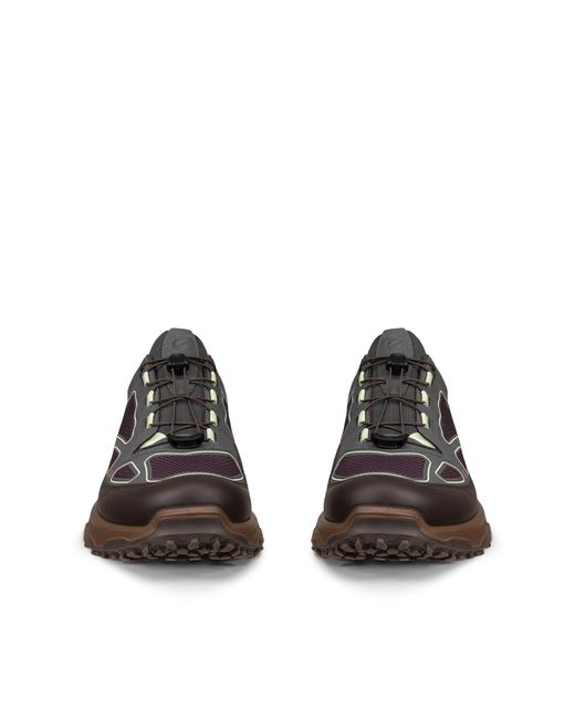 Ecco Receptor Xp in Brown für Herren
