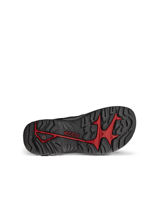 Ecco Black Offroad for men