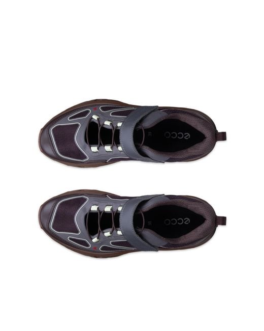 Ecco Gray Receptor Xp