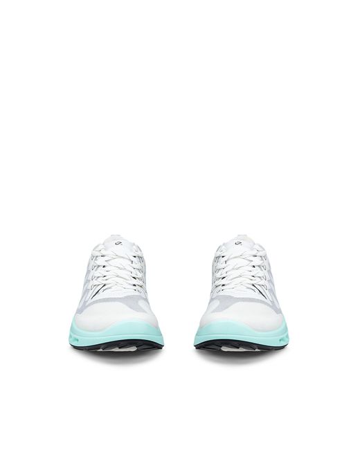 Ecco Blue Biom 720 Breathru