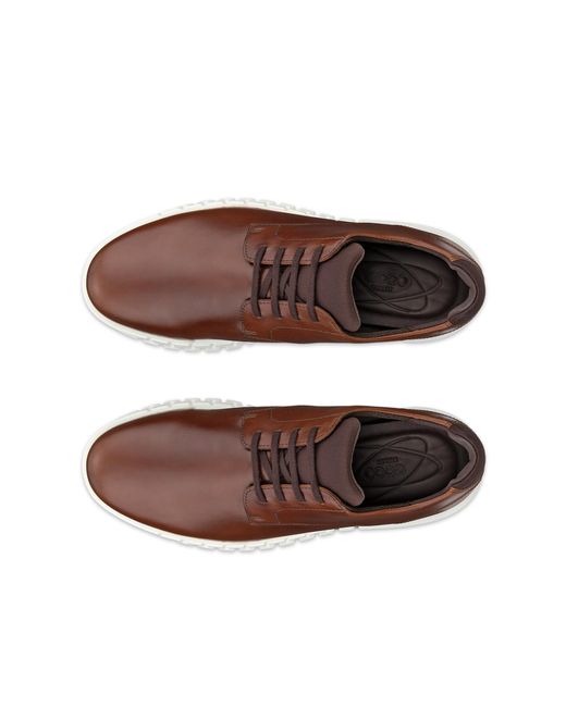 Ecco Brown Gruuv Studio for men