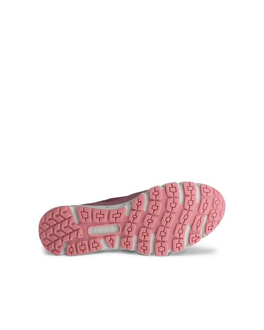 Ecco Purple Multi-Vent