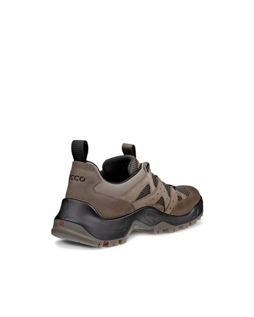 Ecco Brown Offroad for men