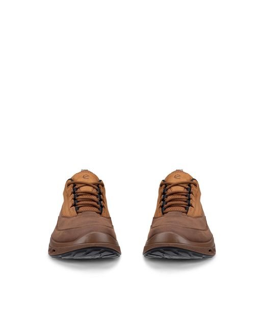 Ecco Biom 720 in Brown für Herren