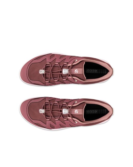 Ecco Pink Terracruise Lt
