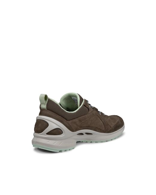 Ecco Brown Biom Energi