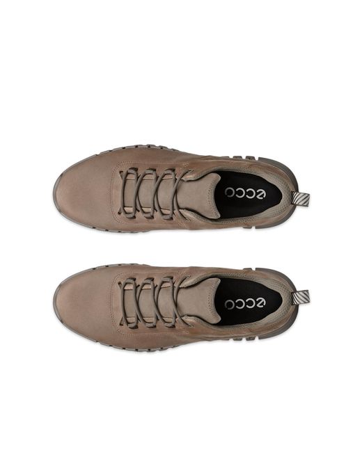 Ecco Brown Gruuv for men