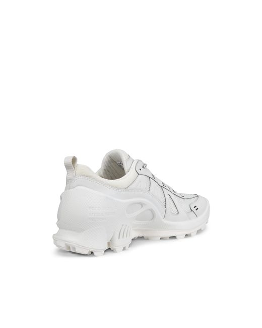 Ecco Gray Biom C-Trail for men