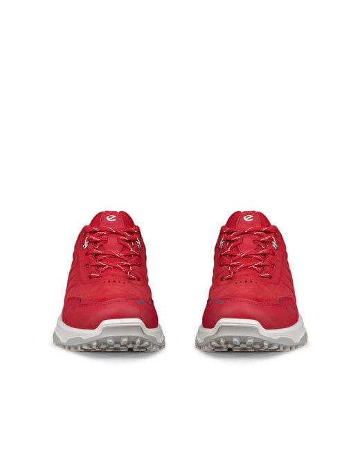 Ecco Red Receptor Xp