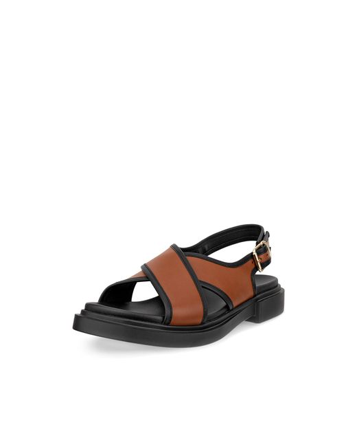 Ecco Brown Metropole Seoul