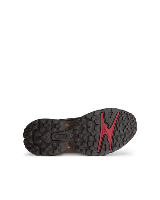 Ecco Gray Receptor Xp