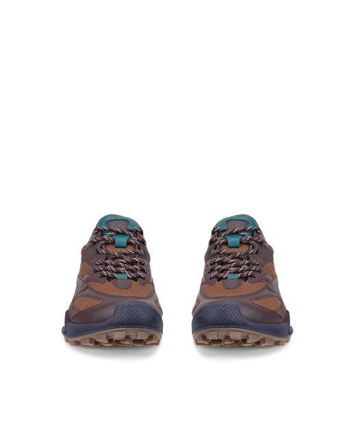 Ecco Brown Biom C-Trail