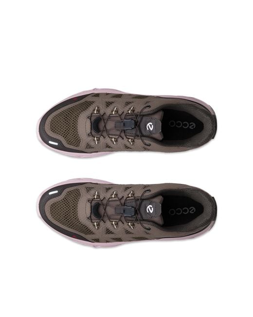 Ecco Brown Receptor Xp