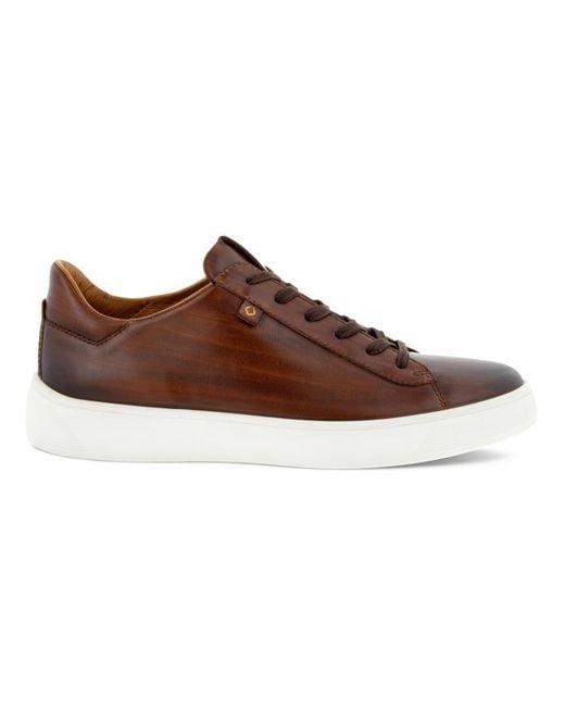 ecco brown sneakers