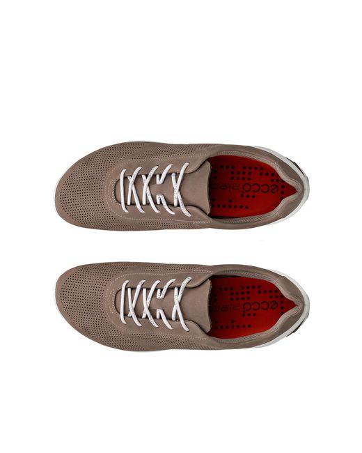 Ecco Brown Biom Lite M Lace for men
