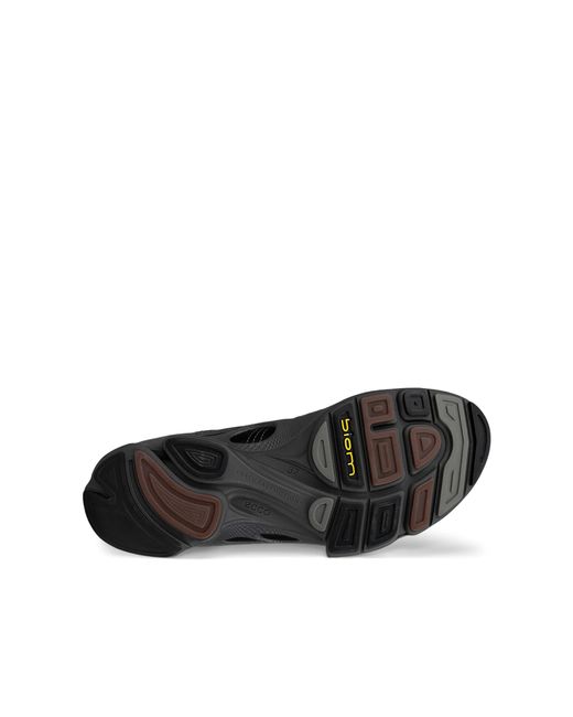 Ecco Blue Biom C W