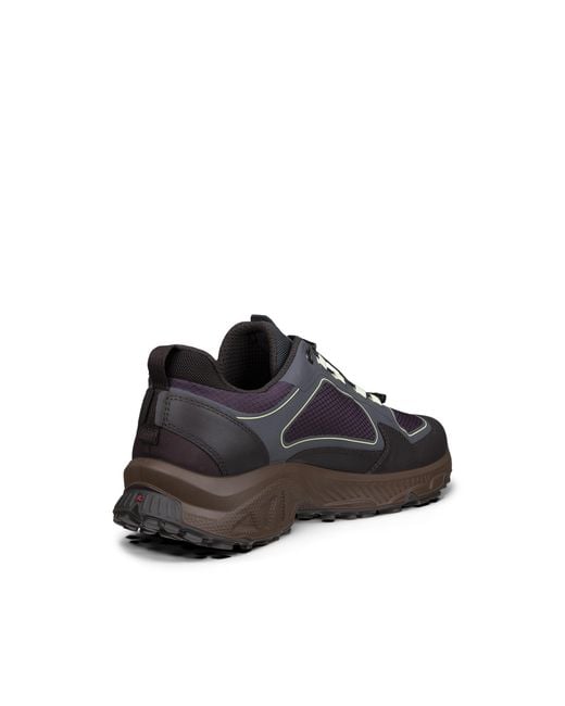 Ecco Gray Receptor Xp