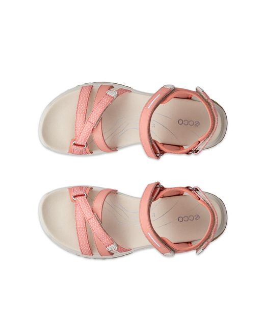 Ecco Pink Offroad Roam