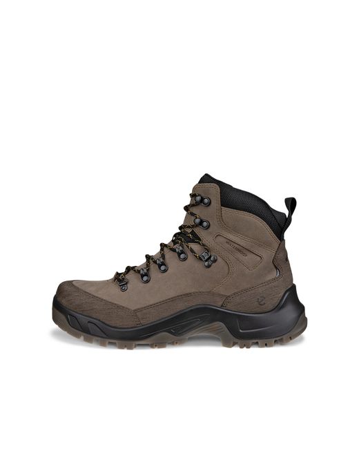 Ecco Brown Offroad M Boot Wp for men