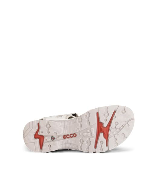 Ecco Metallic Offroad