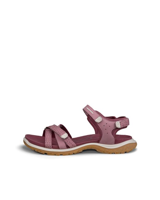 Ecco Pink Offroad Roam