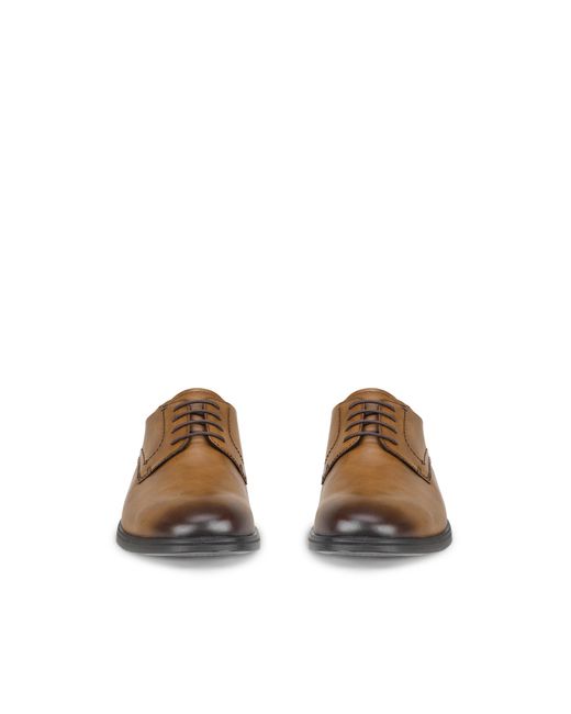 Ecco Brown Melbourne for men