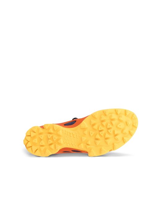 Ecco Blue Biom C-Trail W