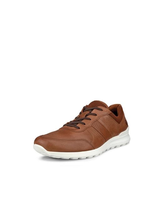 Ecco Brown Cs25 for men
